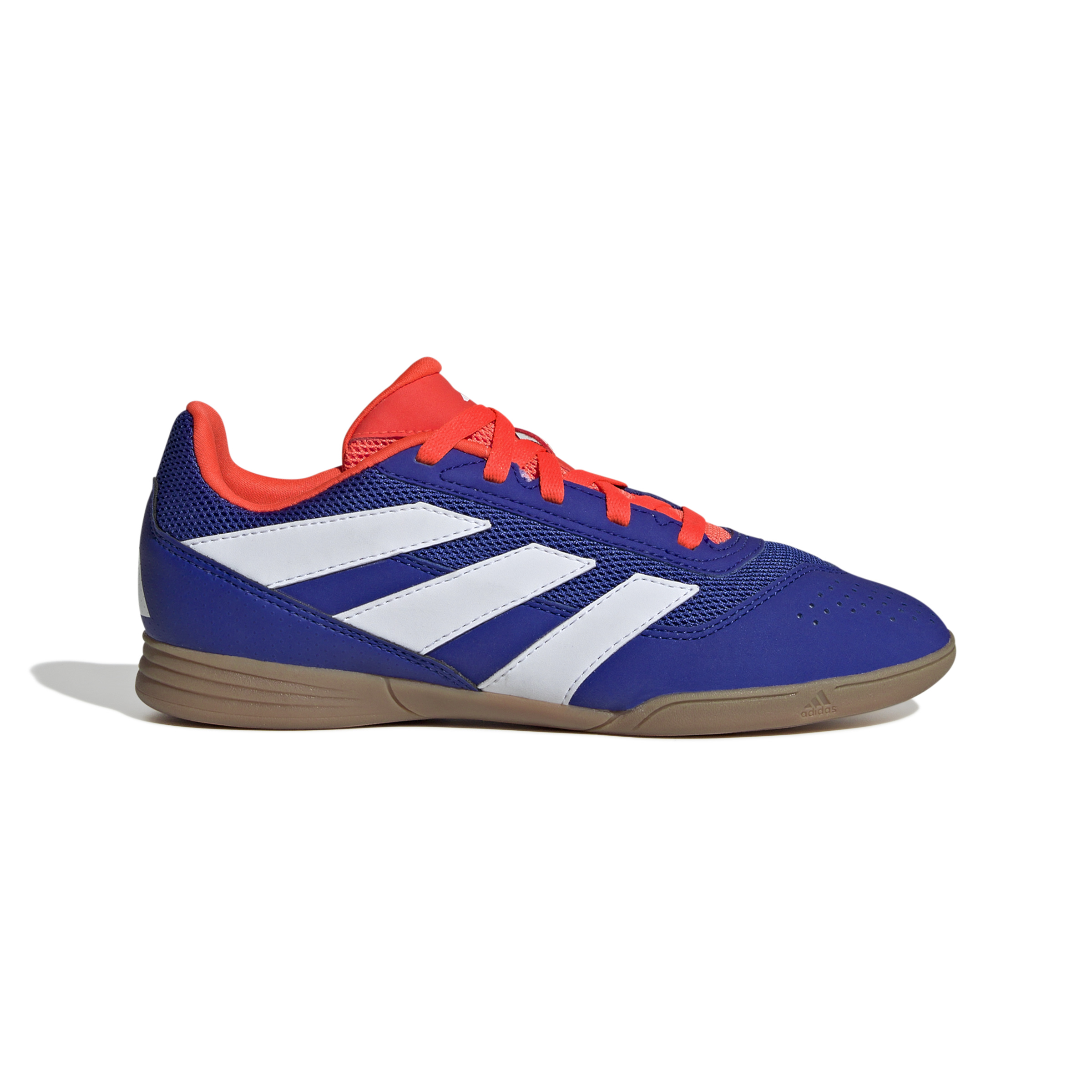 ADIDAS PREDATOR CLUB IN SALA J FTWWHT/LUCBLU/SOLRED