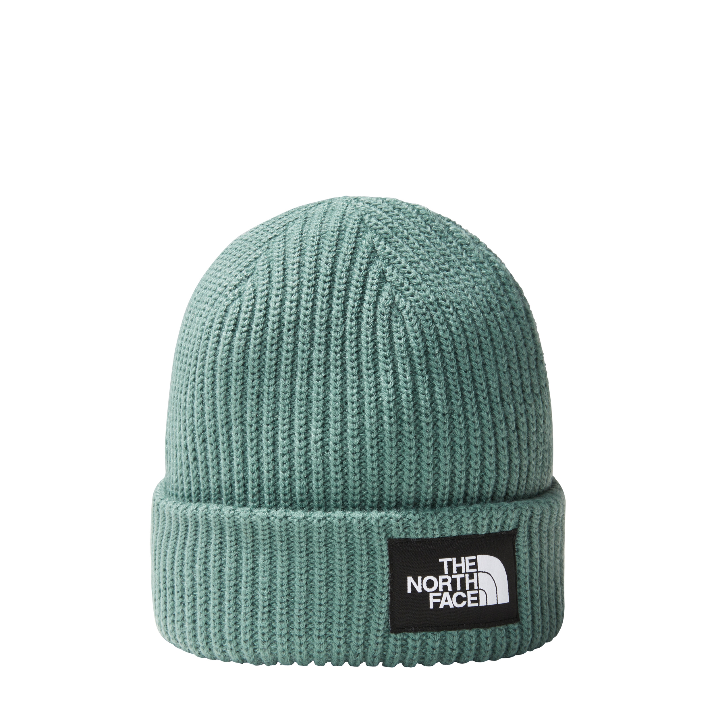 THE NORTH FACE SALTY DOG LINED BEANIE DARK SAGE