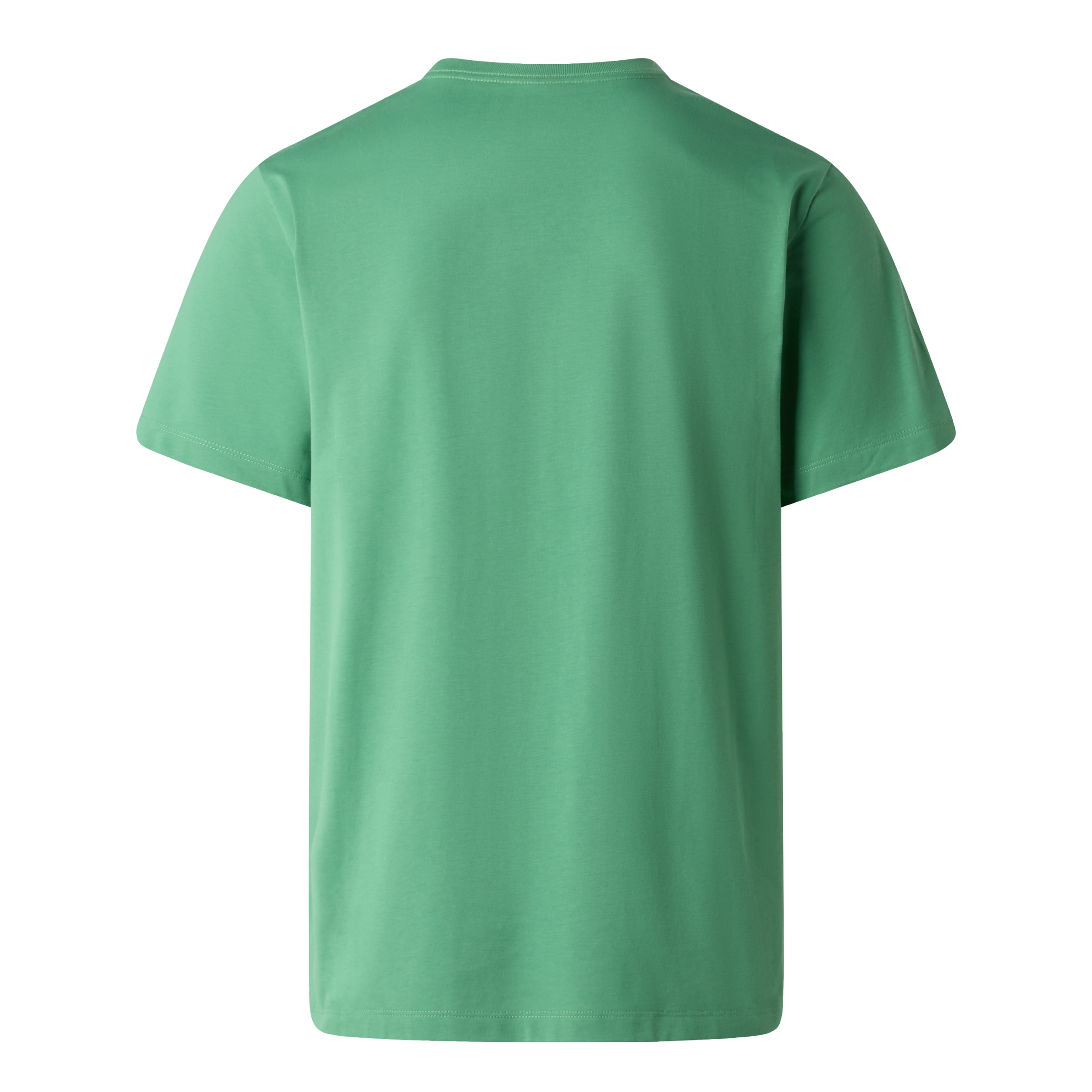 THE NORTH FACE M EVOLUTION SIMPLE DOME REGULA DIMMED ALGAE – Bild 2
