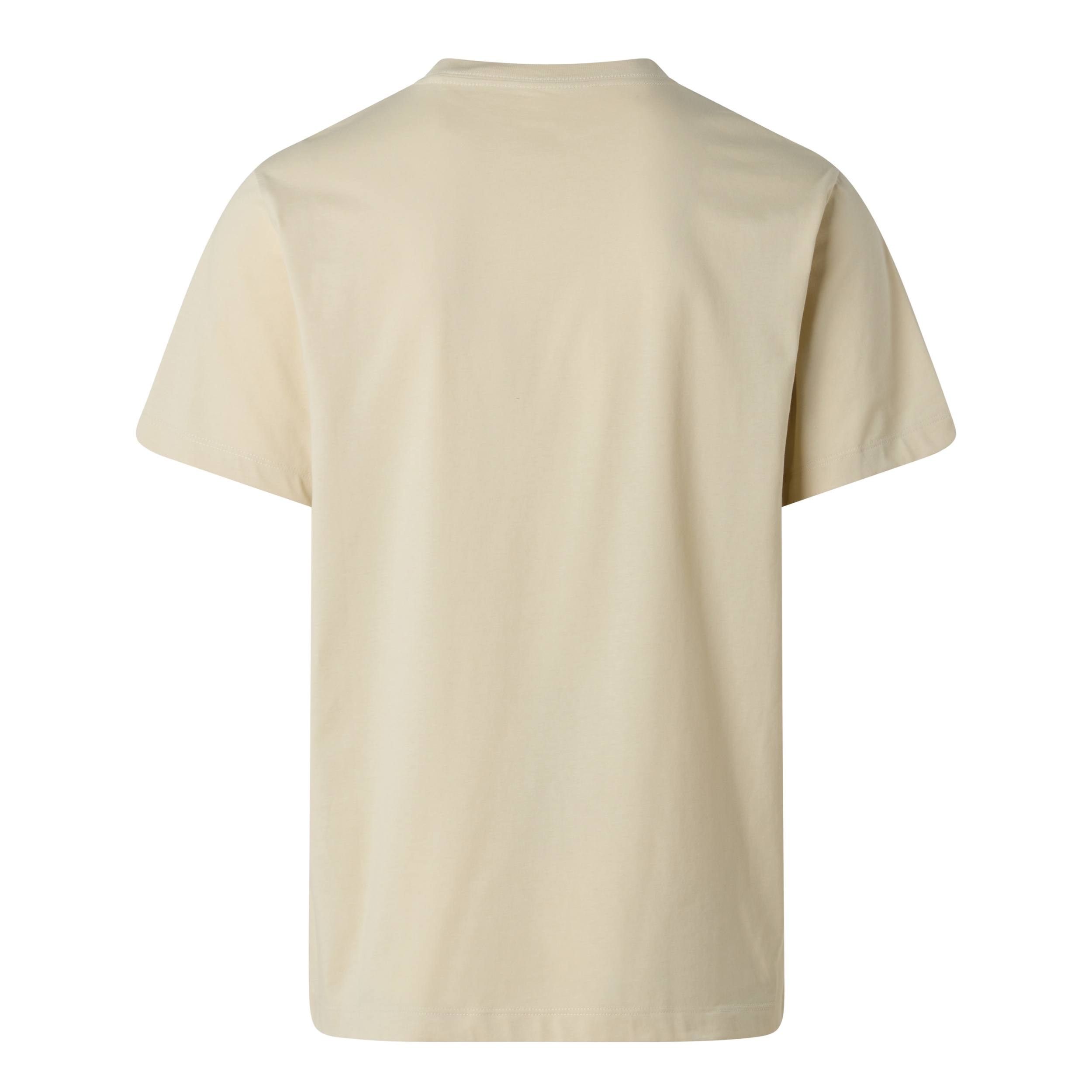 THE NORTH FACE M EVOLUTION SIMPLE DOME REGULA DESERT STONE – Bild 2
