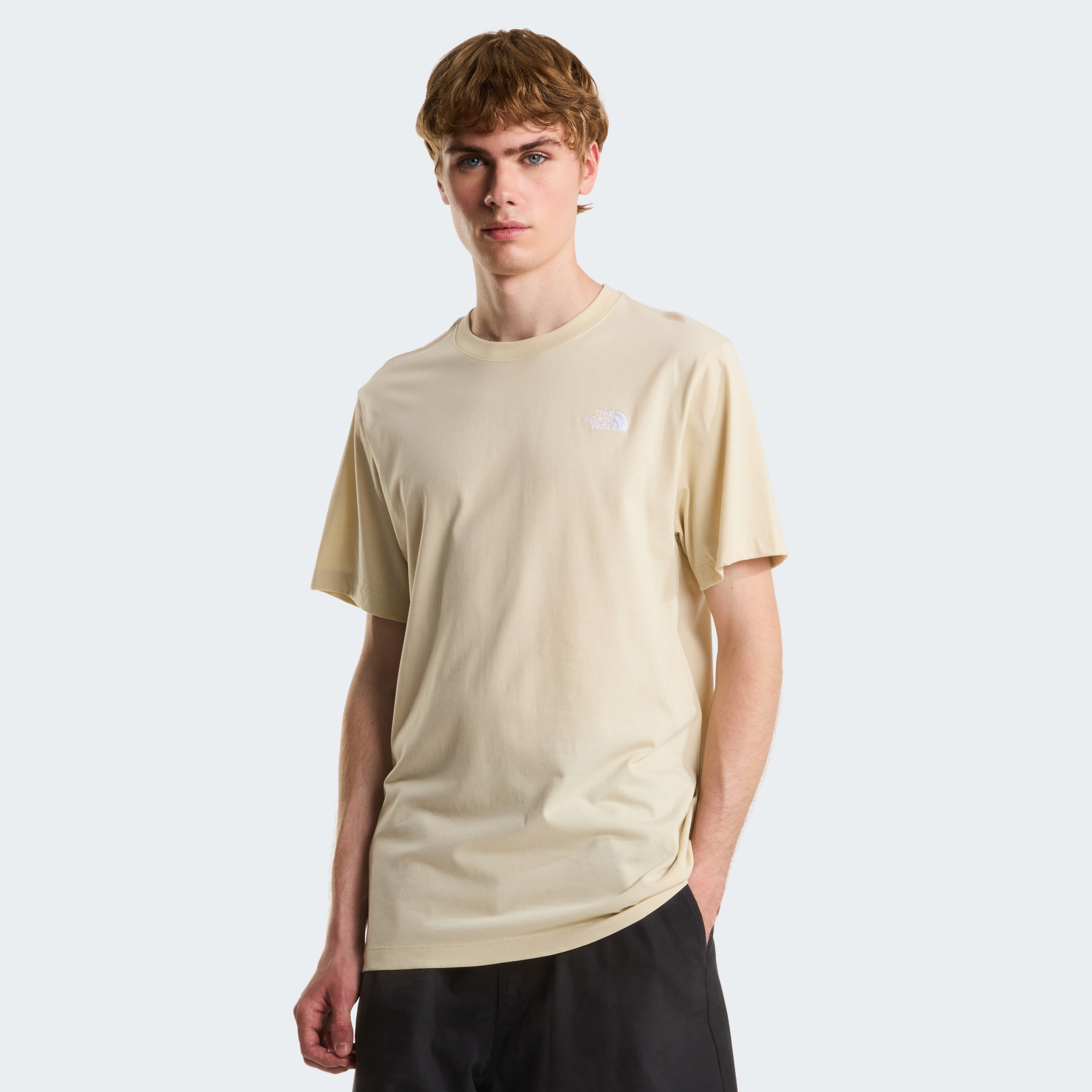 THE NORTH FACE M EVOLUTION SIMPLE DOME REGULA DESERT STONE – Bild 3